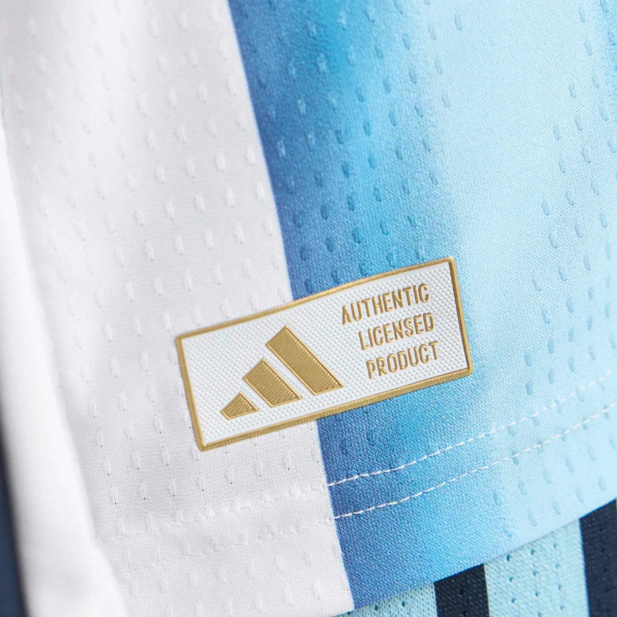adidas 2026 Argentina Men's Authentic Home Long-Sleeve Soccer Jersey 10