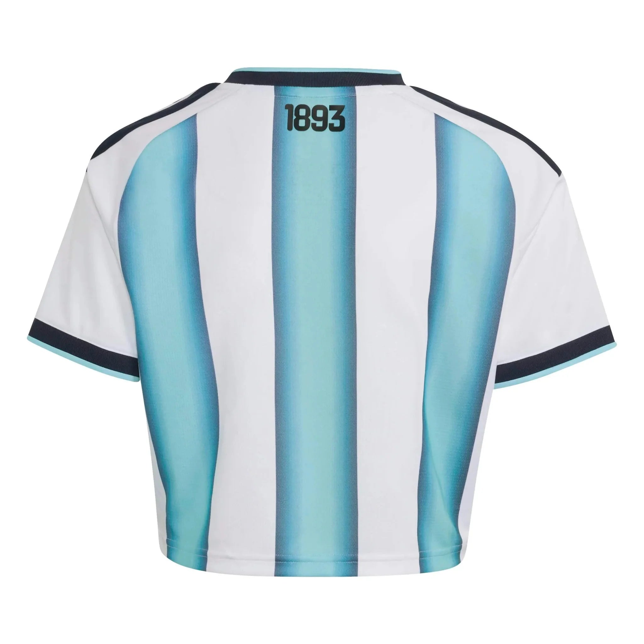 adidas 2026 Argentina Women's Stadium Home Cropped Soccer Jersey 2