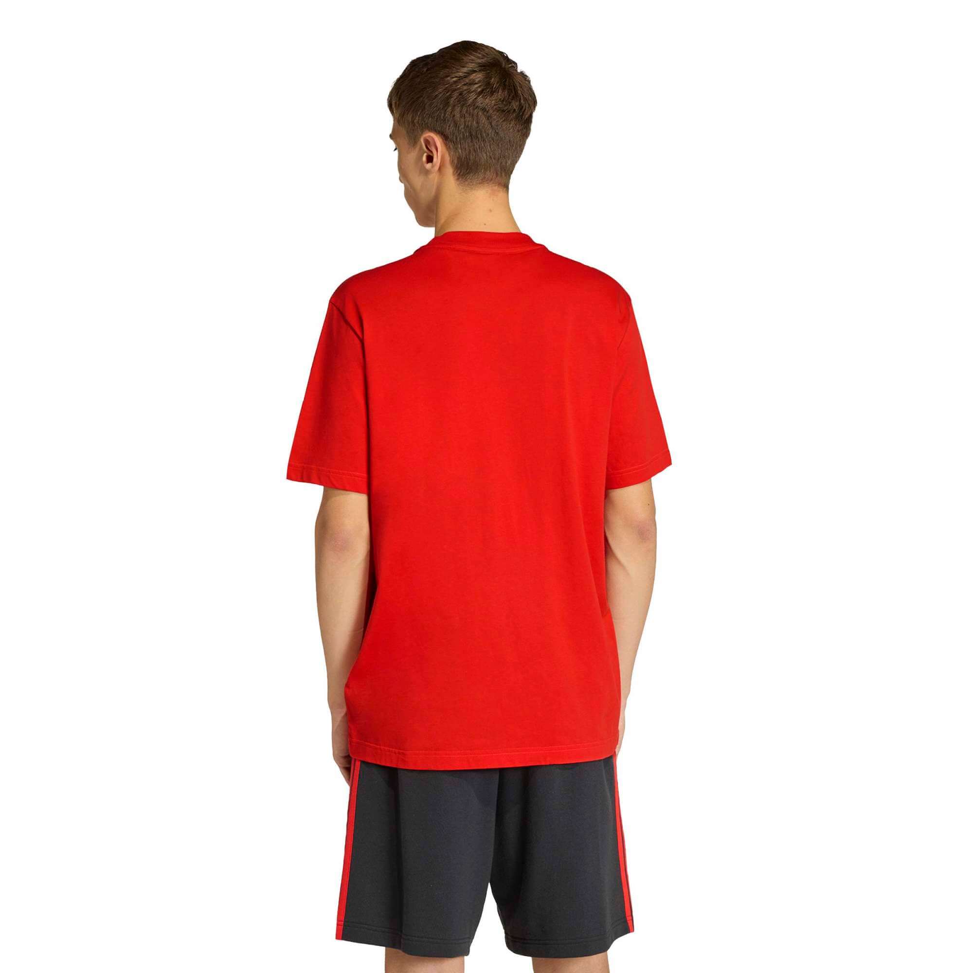 adidas 2026 Belgium Men's DNA Graphic Tee 2