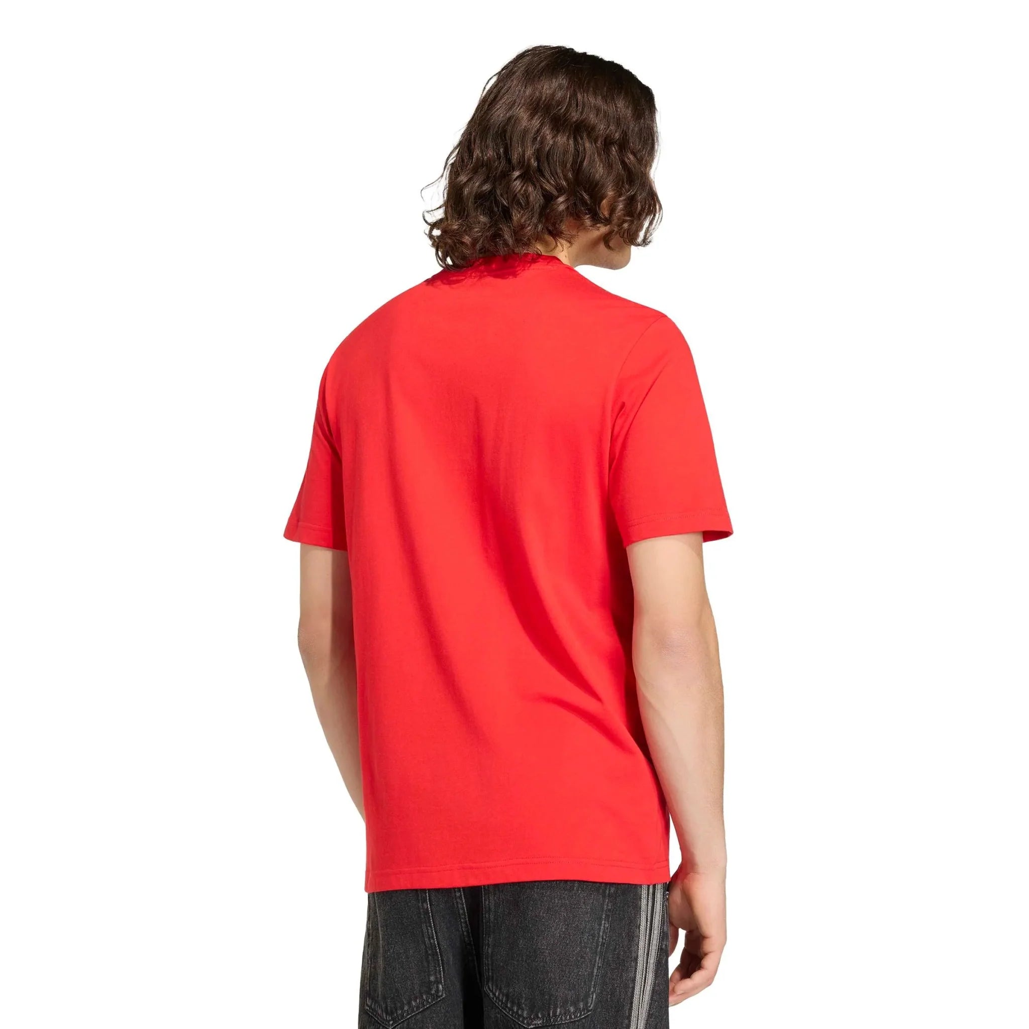 adidas 2026 Spain Men's DNA Graphic Tee 3