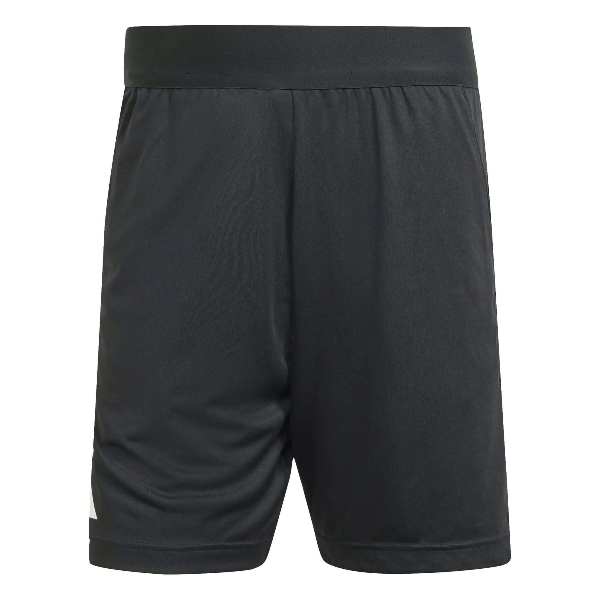 adidas Referee 24 Shorts 2
