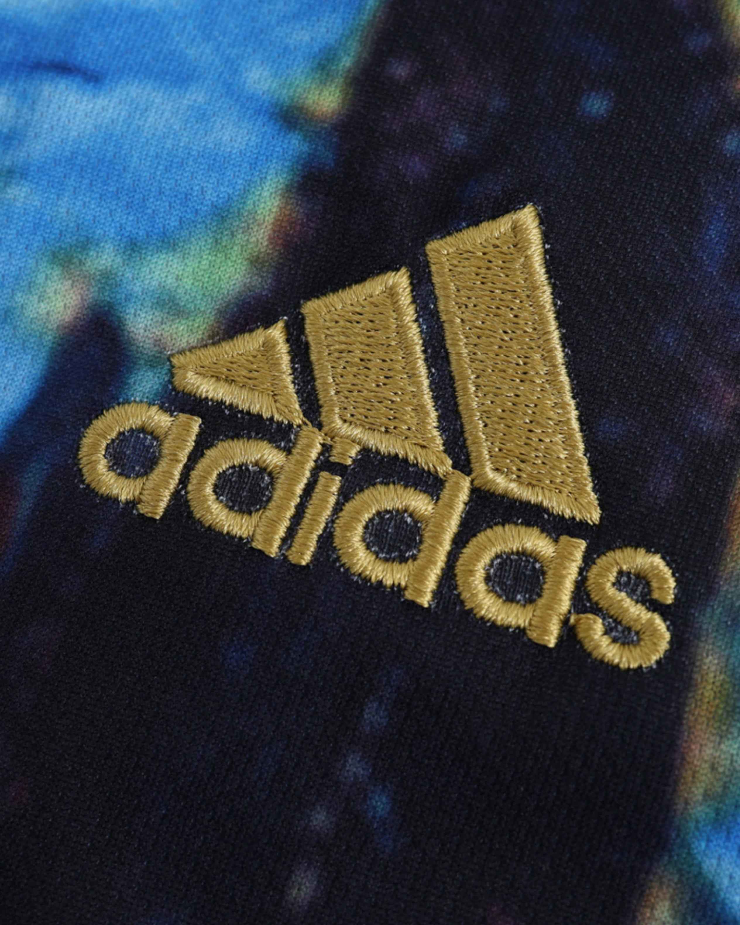 AJAX x VAN GOGH PREMIUM KIT 5