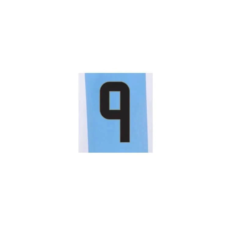 Argentina 2024/25 Home J. Alvarez #9 Jersey Name Set 2