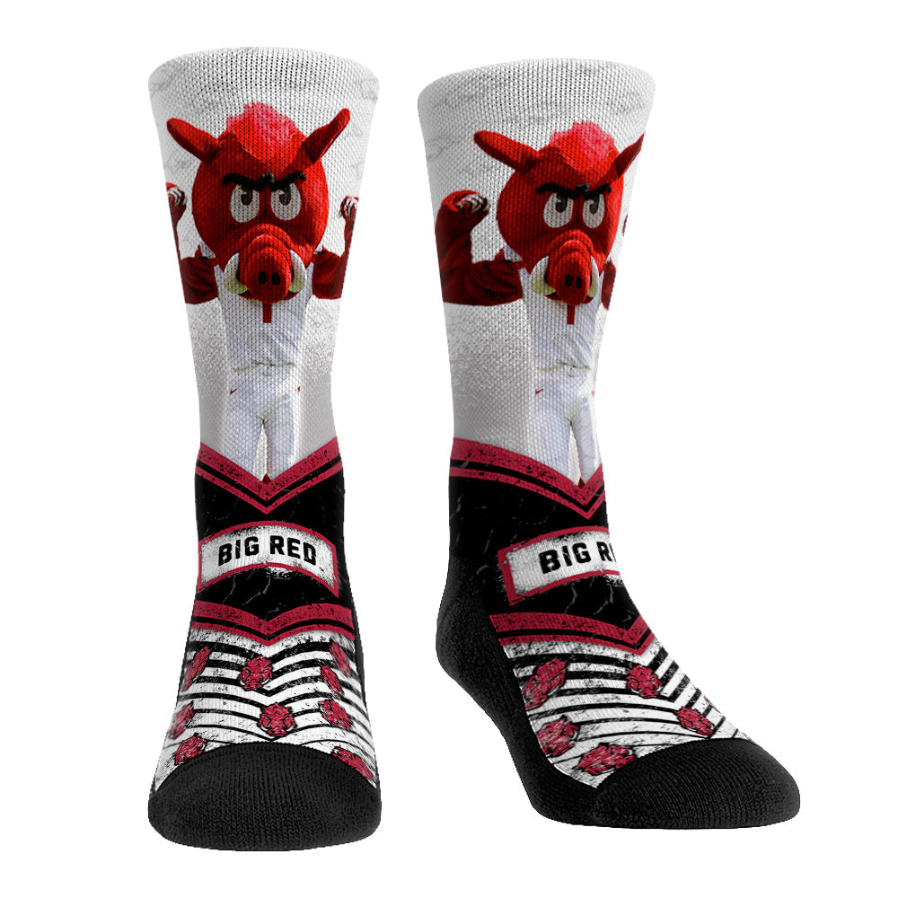 Arkansas Razorbacks - Mascot Walkout | Rock 'Em Socks