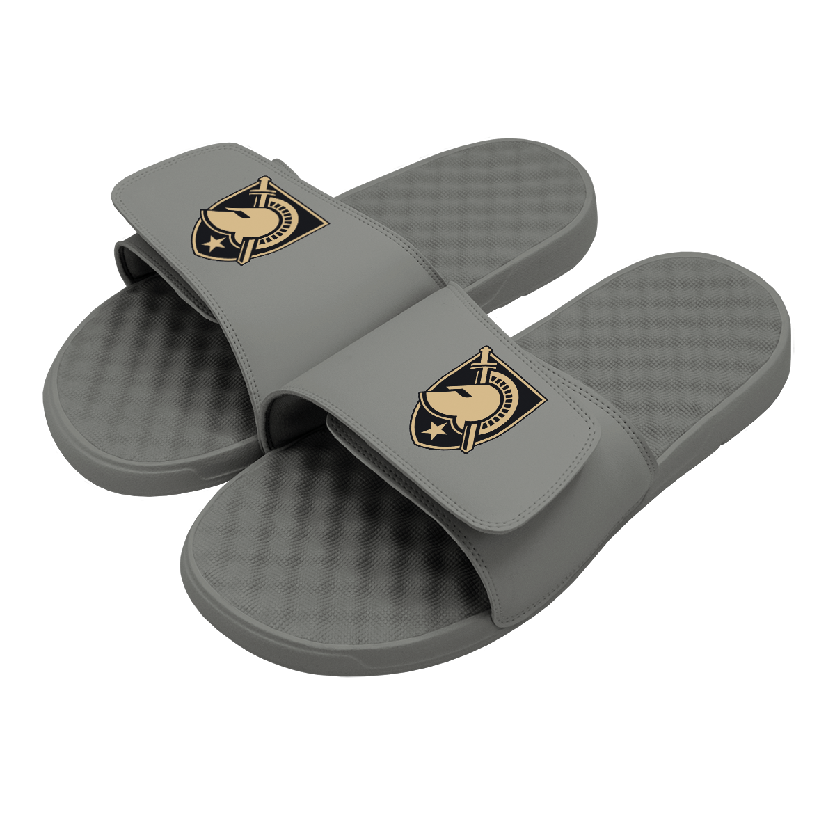 Army Primary Logo Slides 1