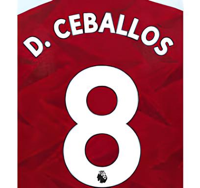 Arsenal 2019/22 Home D. Ceballos #8 Jersey Name Set 1