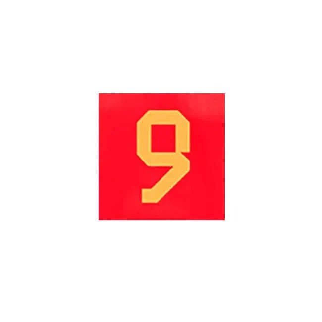 Belgium 2022-23 Home R. Lukaku #9 Jersey Name Set 2