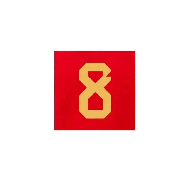 Belgium 2022-23 Home Tielemans #8 Jersey Name Set 2