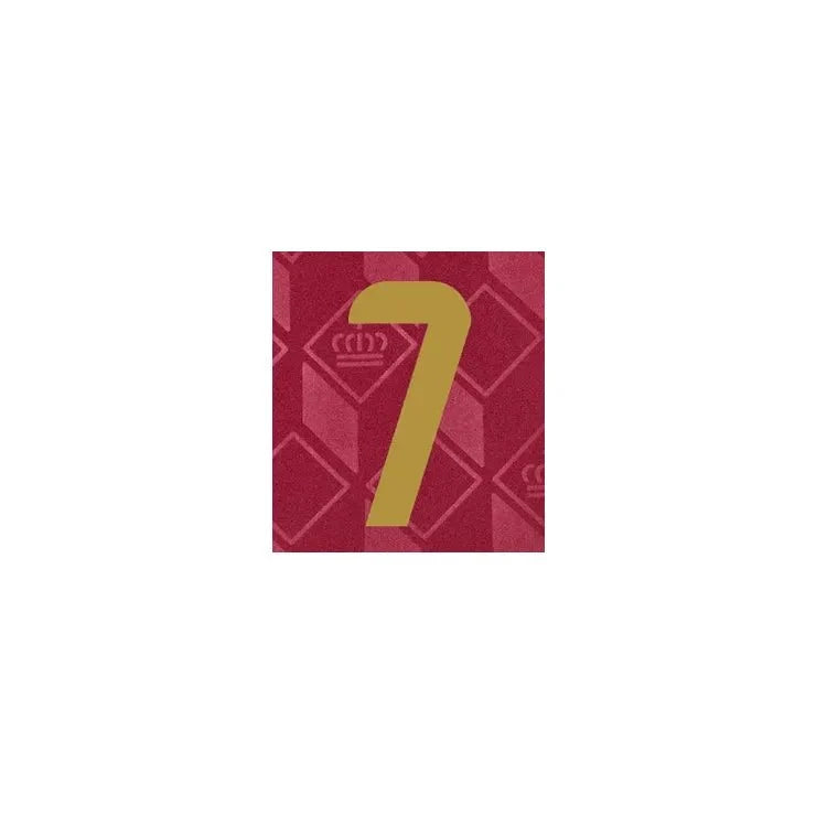 Belgium 2024/25 Home De Bruyne #7 Youth Jersey Name Set 2