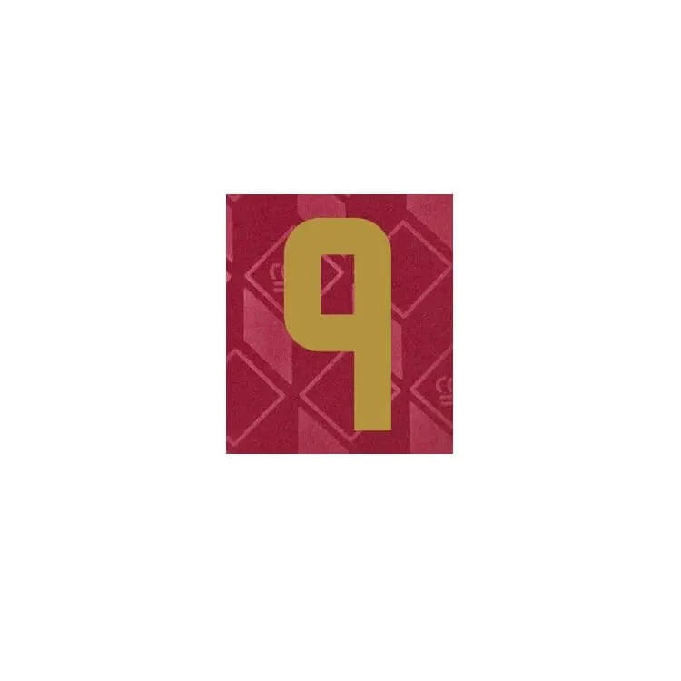 Belgium 2024/25 Home Trossard #9 Jersey Name Set 2