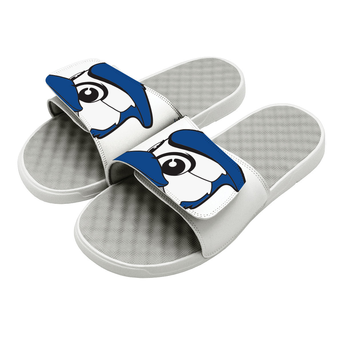 Toronto Blue Jays Mascot Slides 1