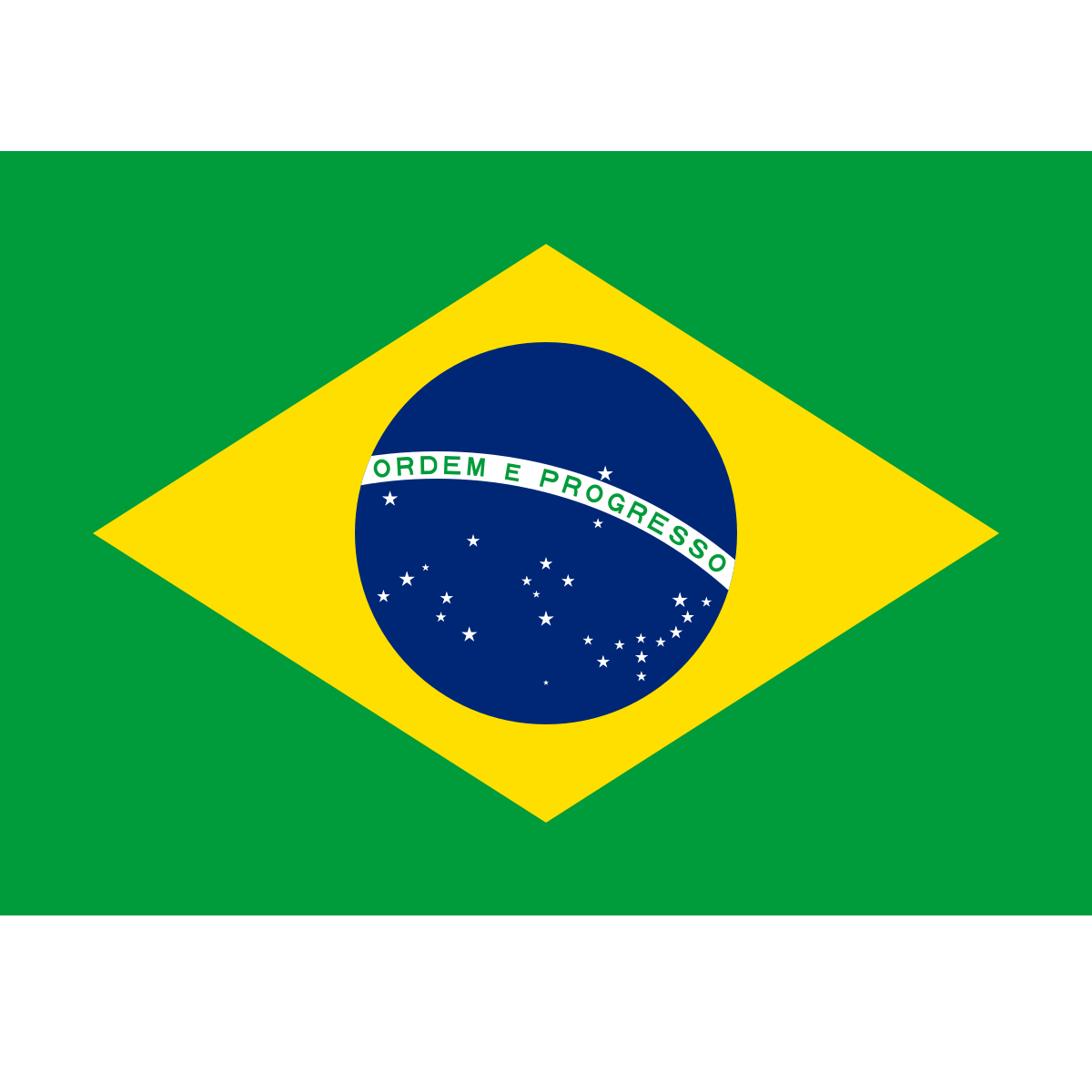 Brasil Flag 1