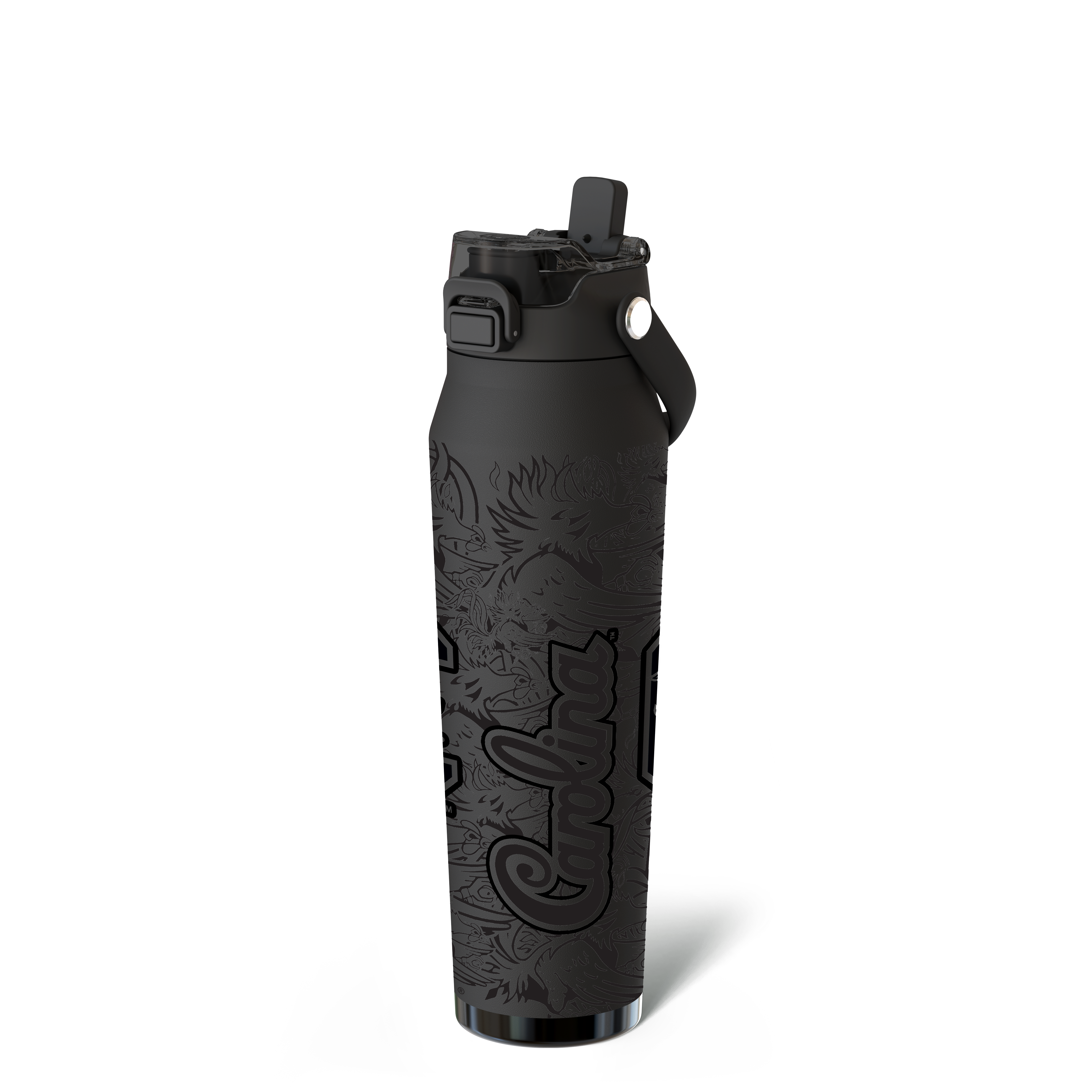 Bottle Buddy 32oz | South Carolina Gamecocks | Night Game | Frost Buddy 2