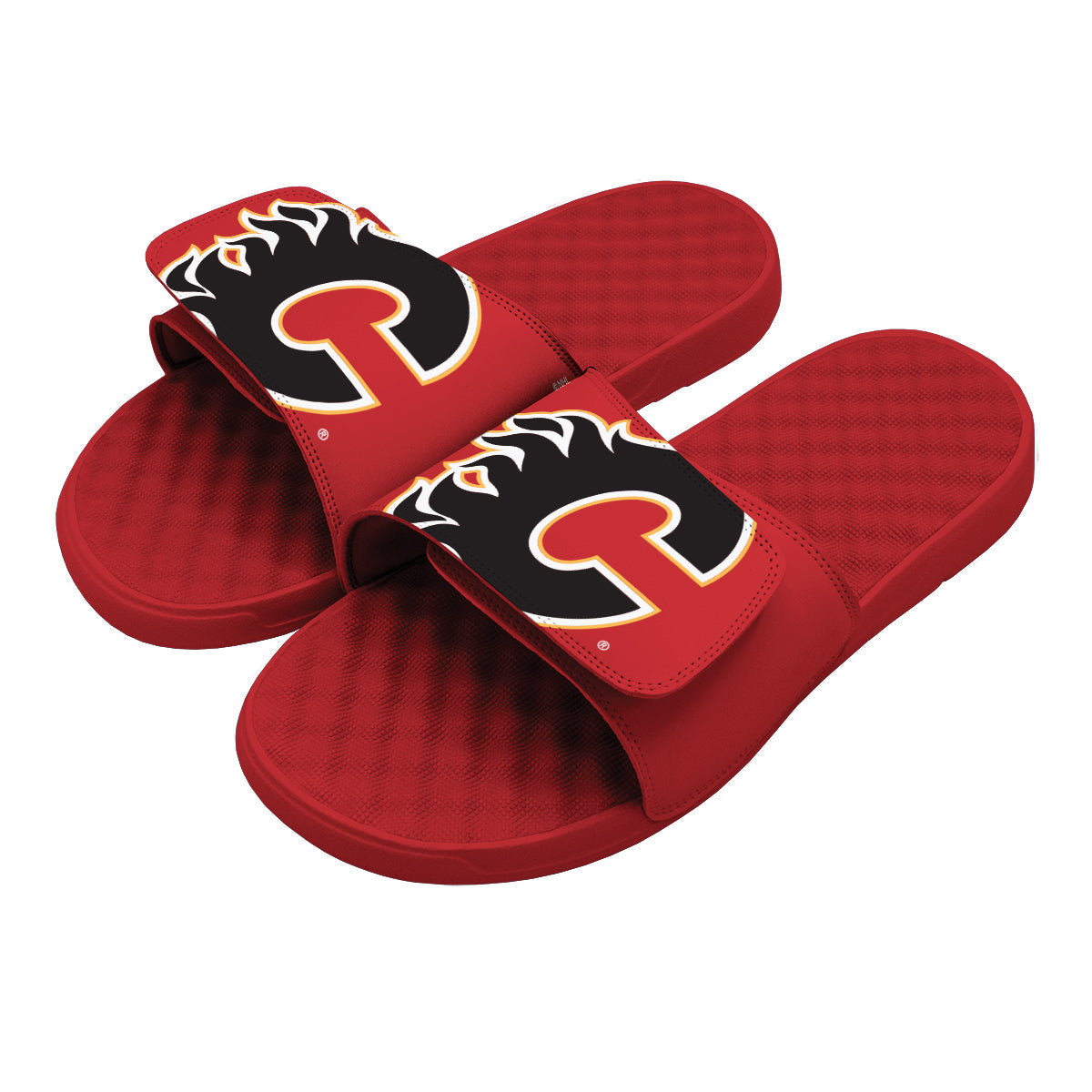 Calgary Flames Blown Up Slides