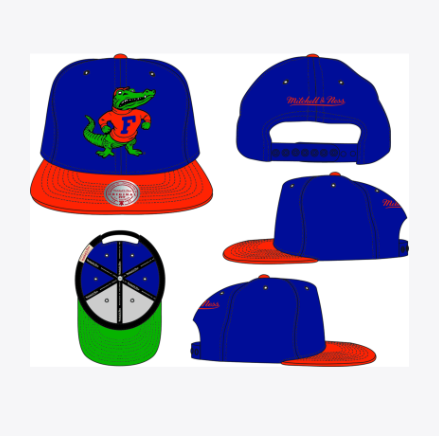 Florida Gators - NCAA 2 Tones Snapback Hat 1