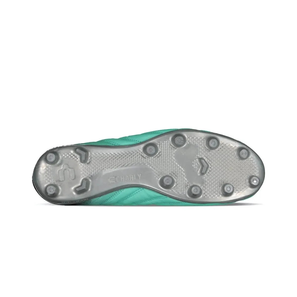 Charly Artemis FG 6