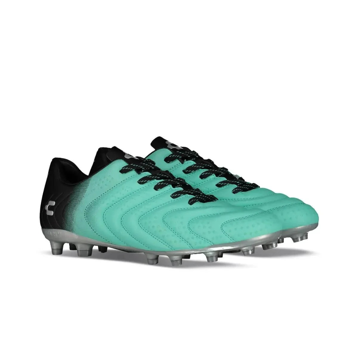 Charly Artemis FG 4