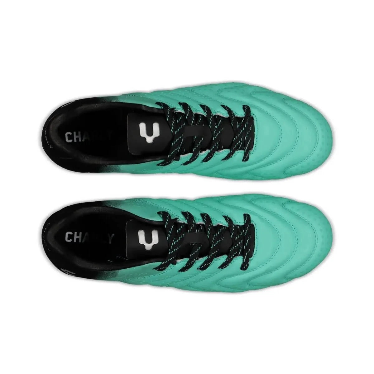 Charly Artemis FG 5