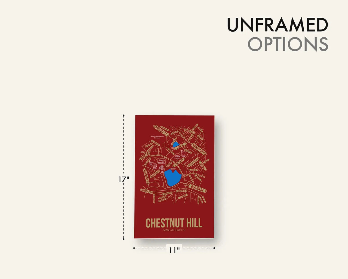 Chestnut Hill, Massachusetts street map 17