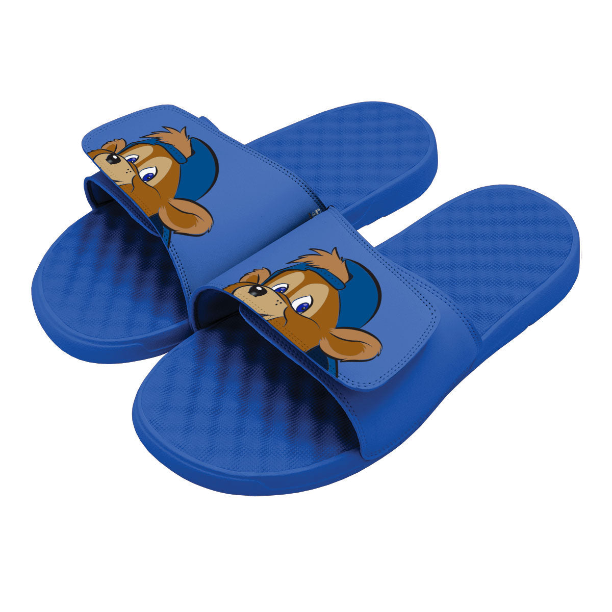 Chicago Cubs Mascot Slides 1