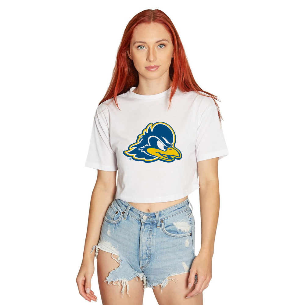 Delaware Blue Hens Tee | lojobands
