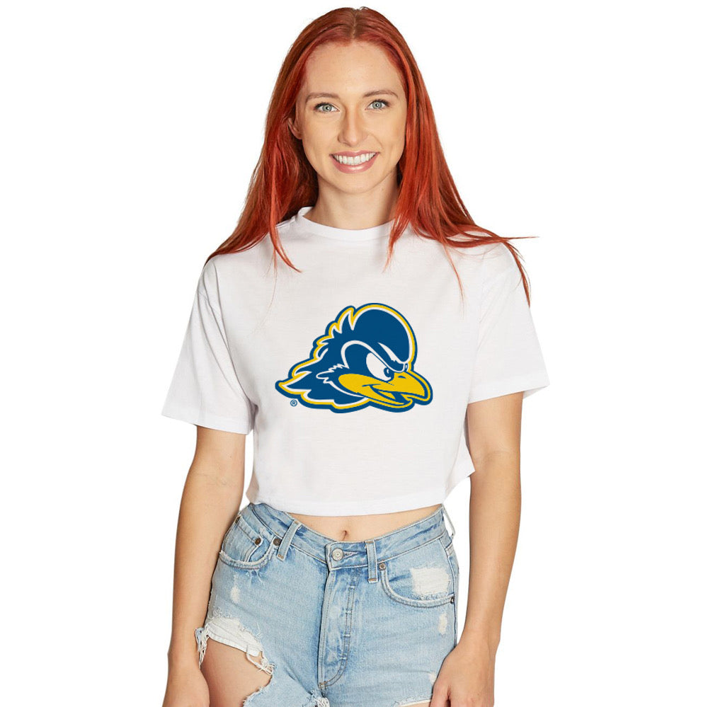Delaware Blue Hens Tee | lojobands