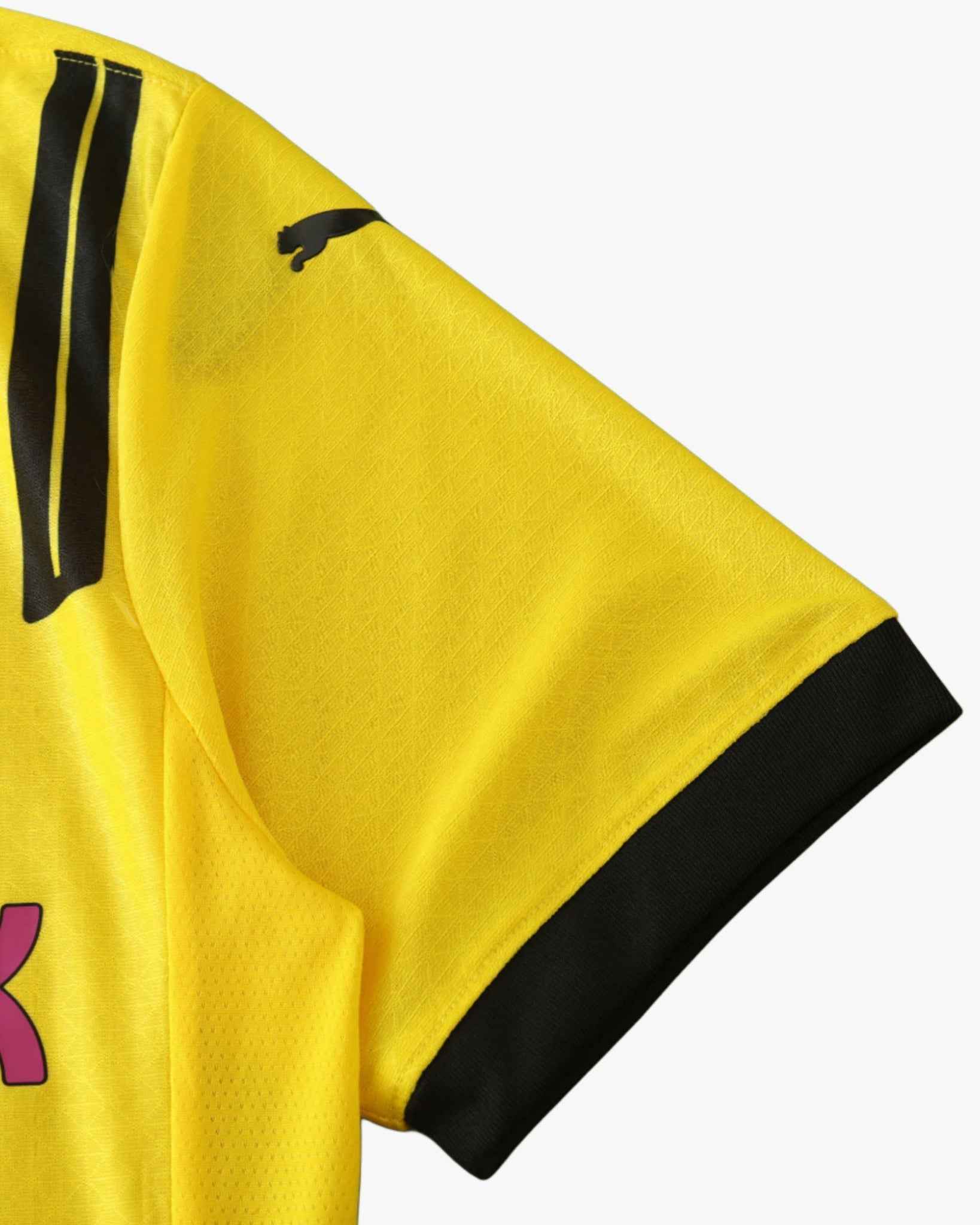 DORTMUND CHAMPIONS LEAGUE HOME 2024/25 4