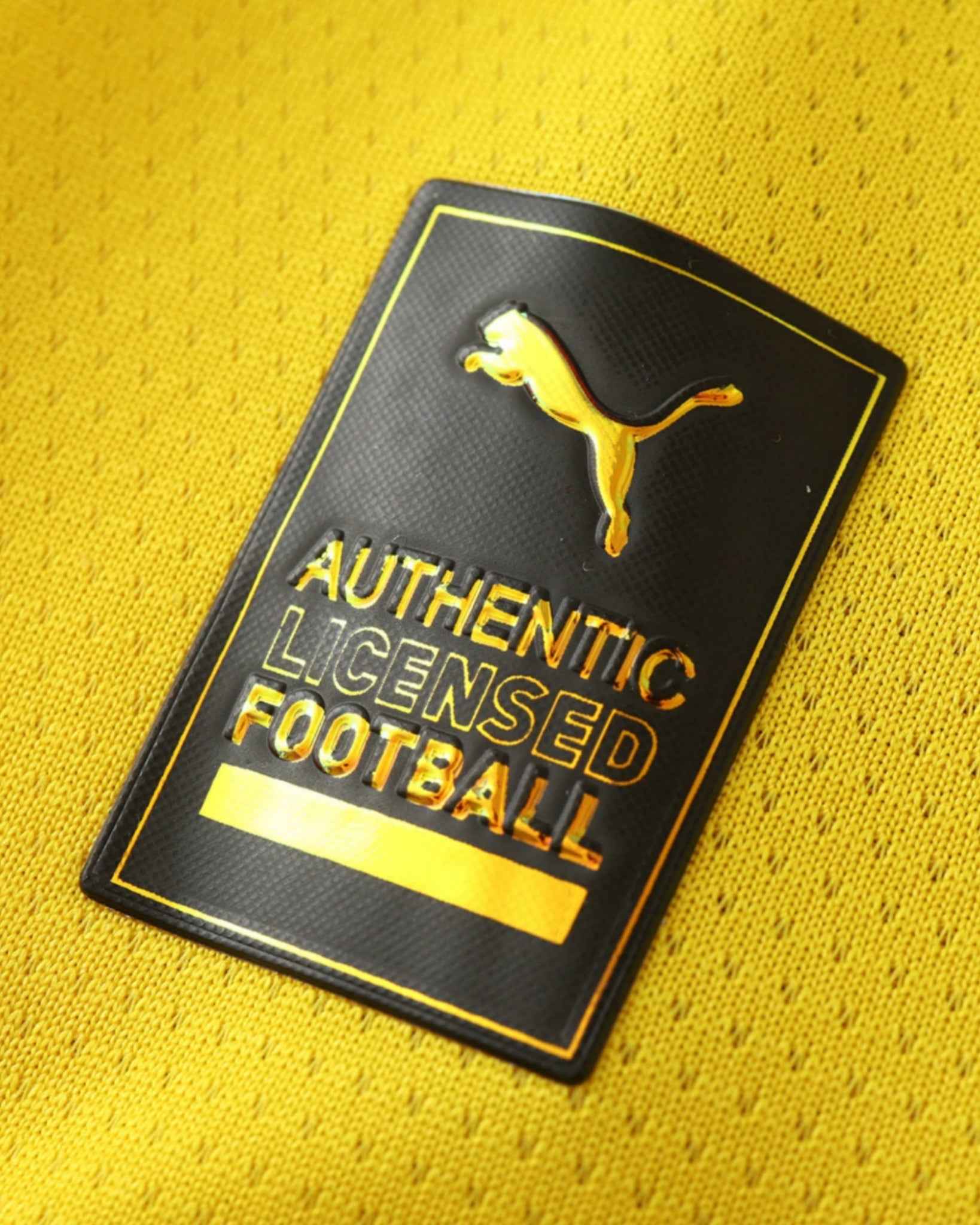 DORTMUND CHAMPIONS LEAGUE HOME 2024/25 7