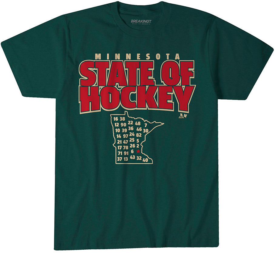 Minnesota: State of Hockey 1