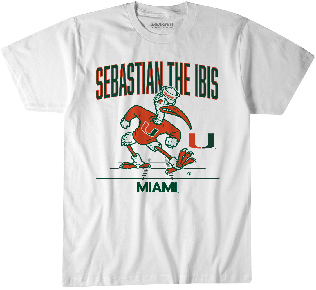Miami Football: Gridiron Mascot 1