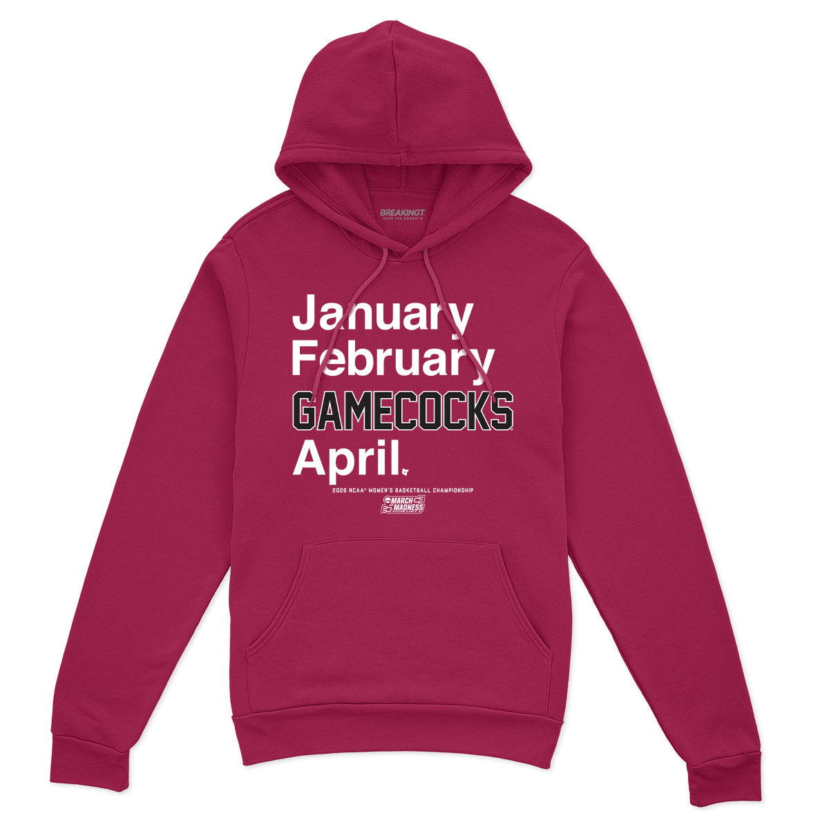 South Carolina Gamecocks WBB: 2026 March Madness Month 2