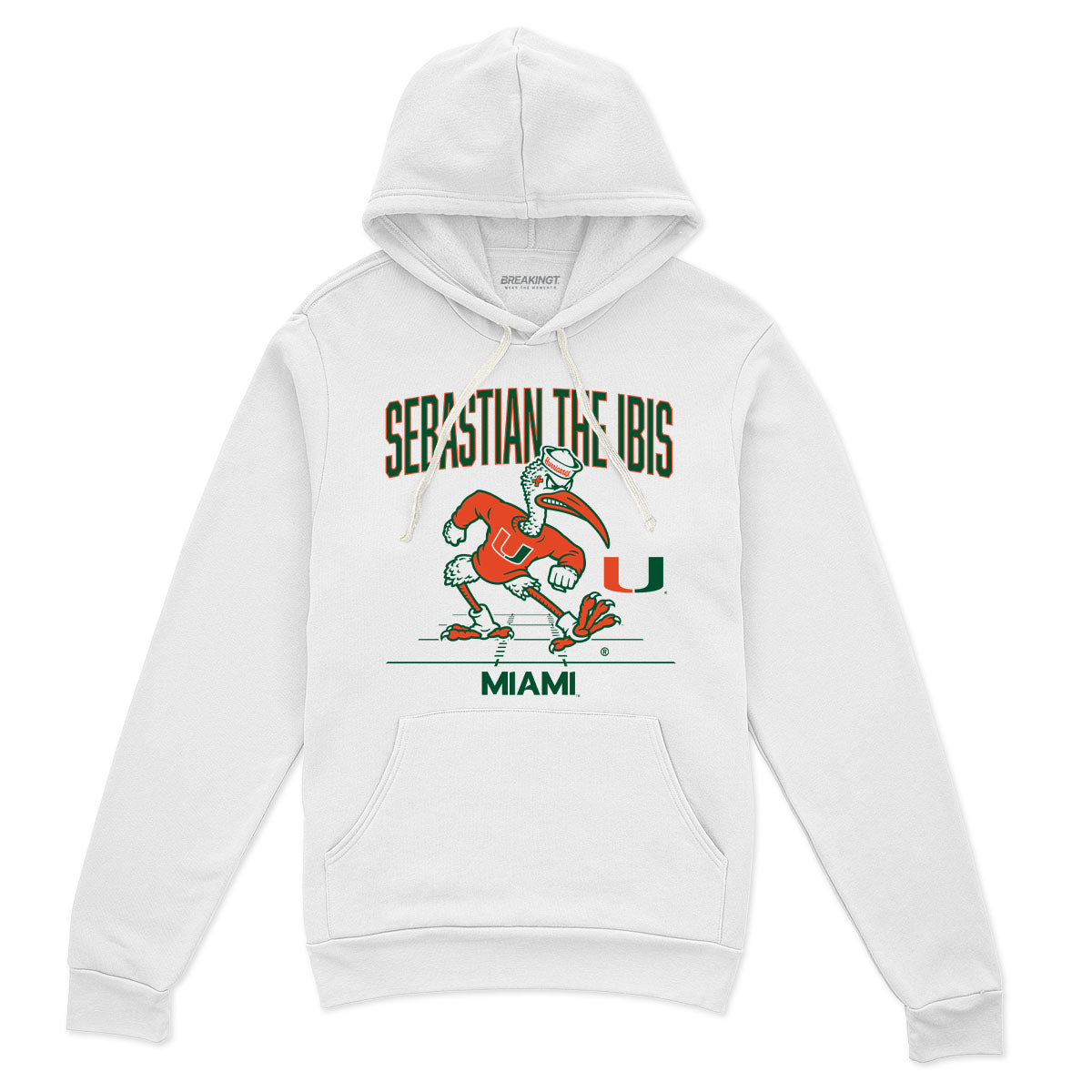 Miami Football: Gridiron Mascot 2