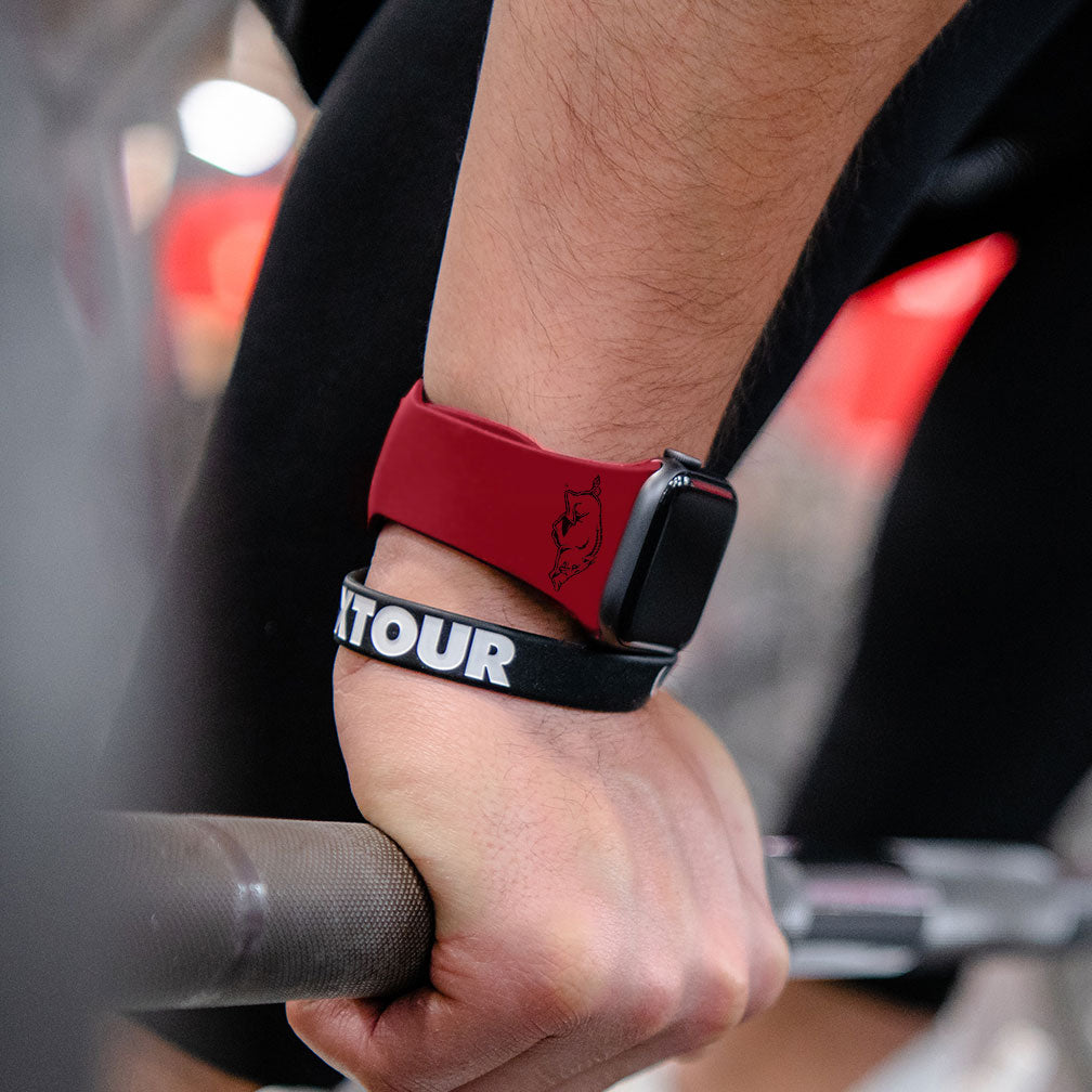 Arkansas Razorbacks Apple Watch Band 2