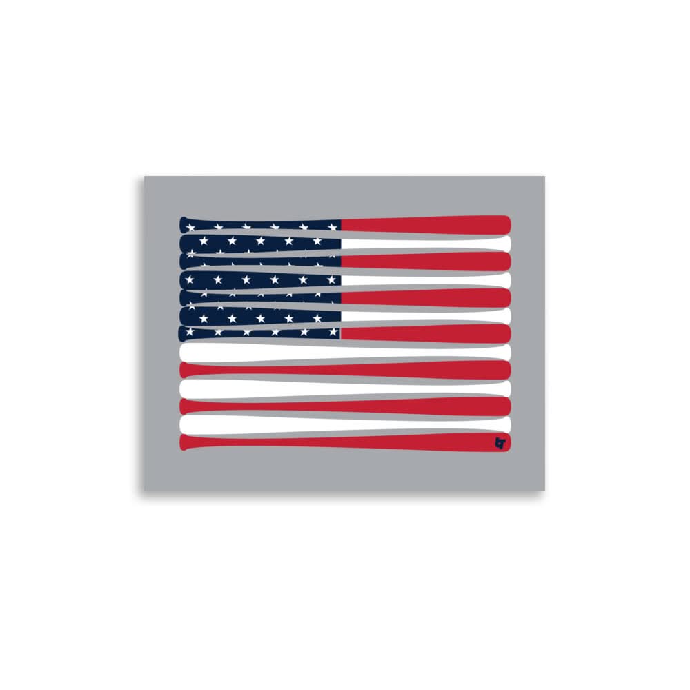 USA: Baseball Flag Print 1