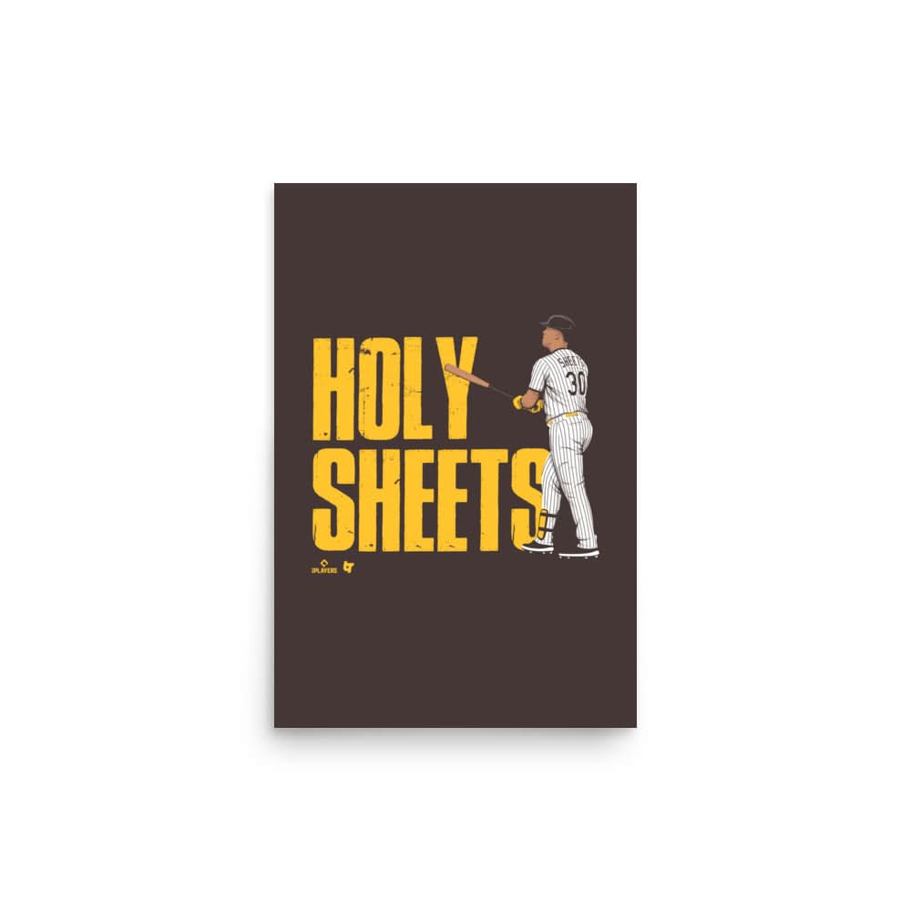 Gavin Sheets: Holy Sheets San Diego Art Print 2