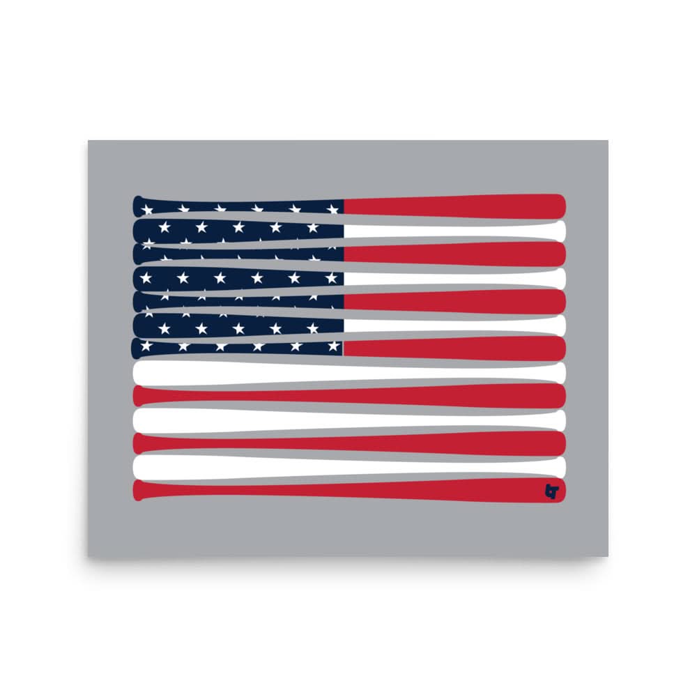 USA: Baseball Flag Print 2