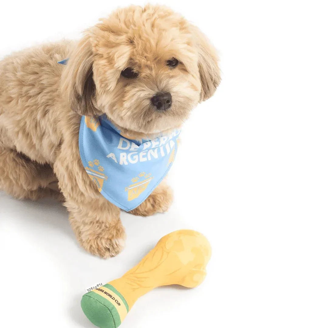 Floofball Argentina Dog Bandana 4