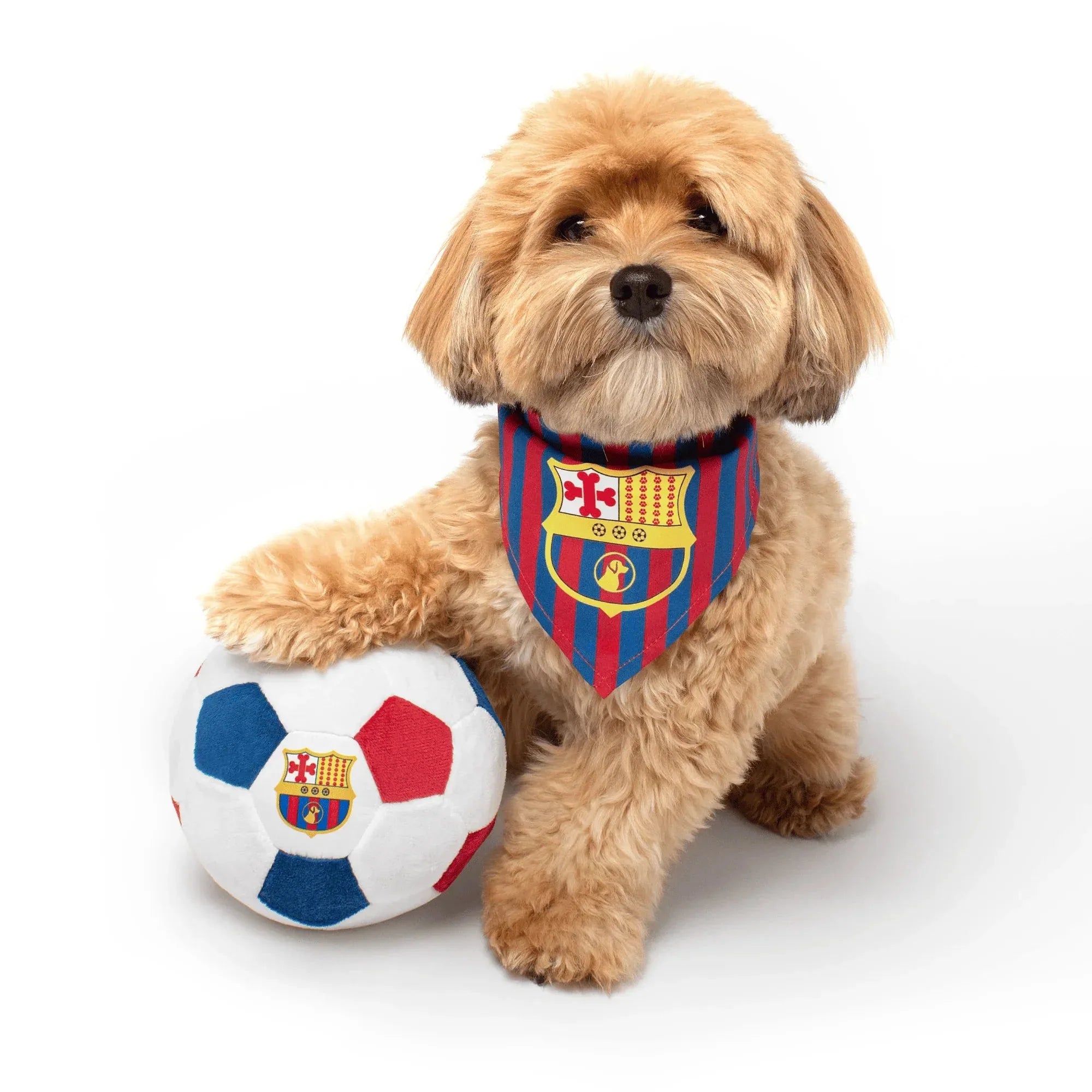 Floofball Barkcelona Dog Bandana 4