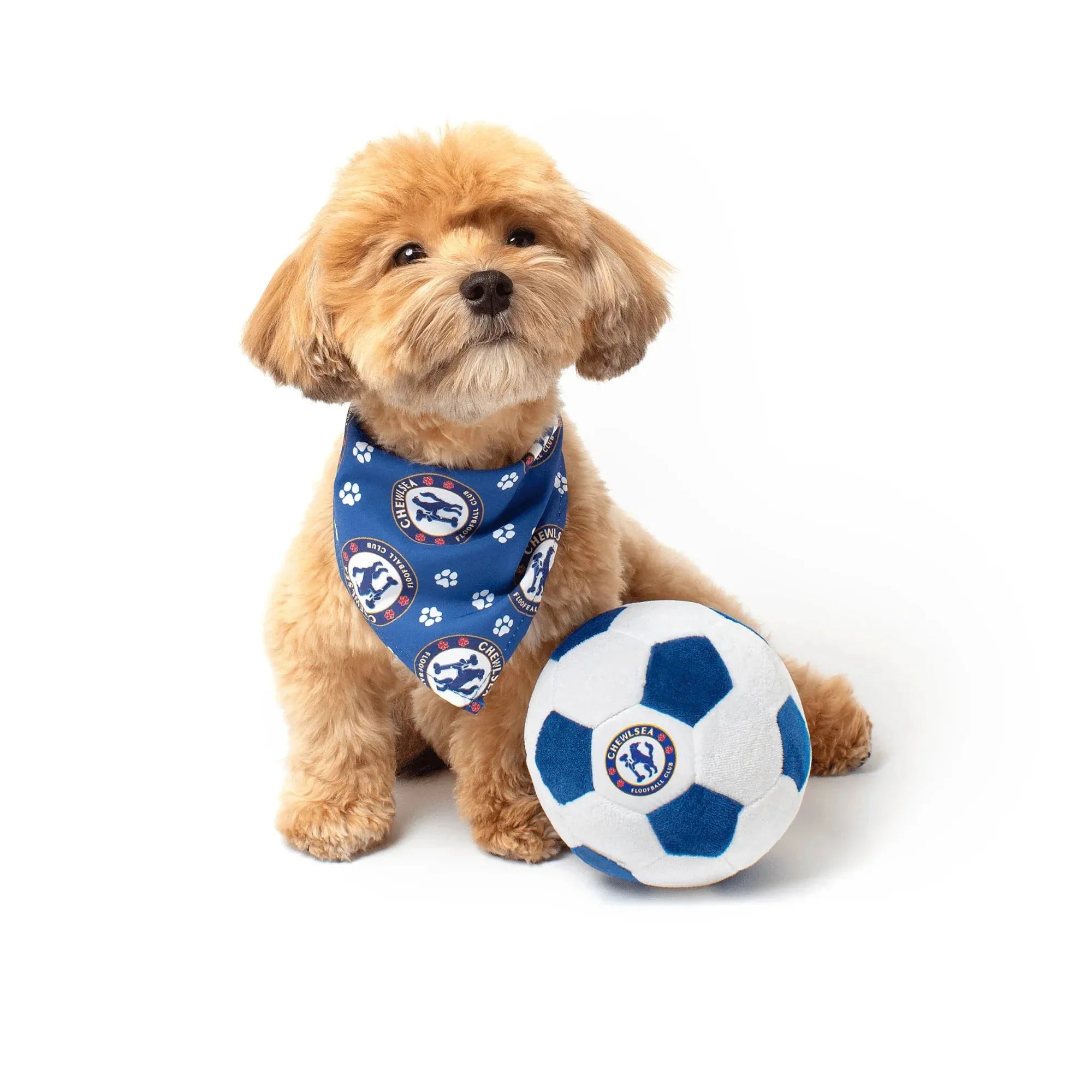 Floofball Chewlsea Dog Bandana 4