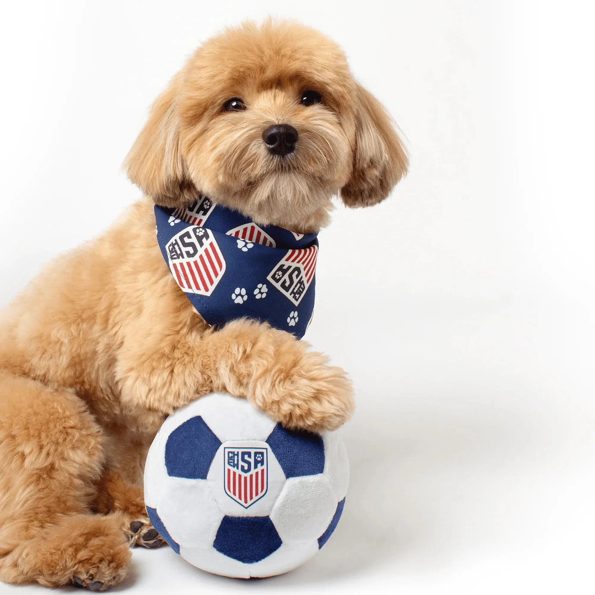 Floofball ChewSA Dog Bandana 4