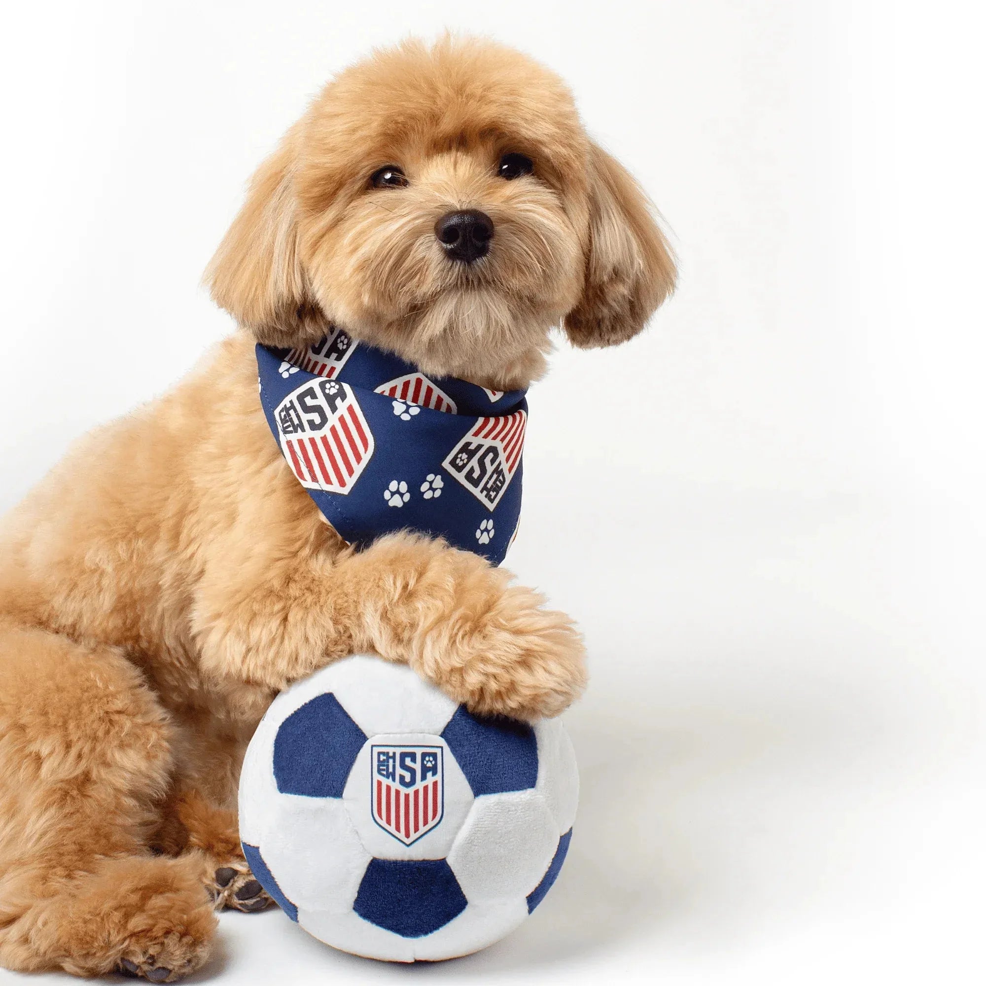 Floofball ChewSA Plush Soccer Ball - Dog Toy 5