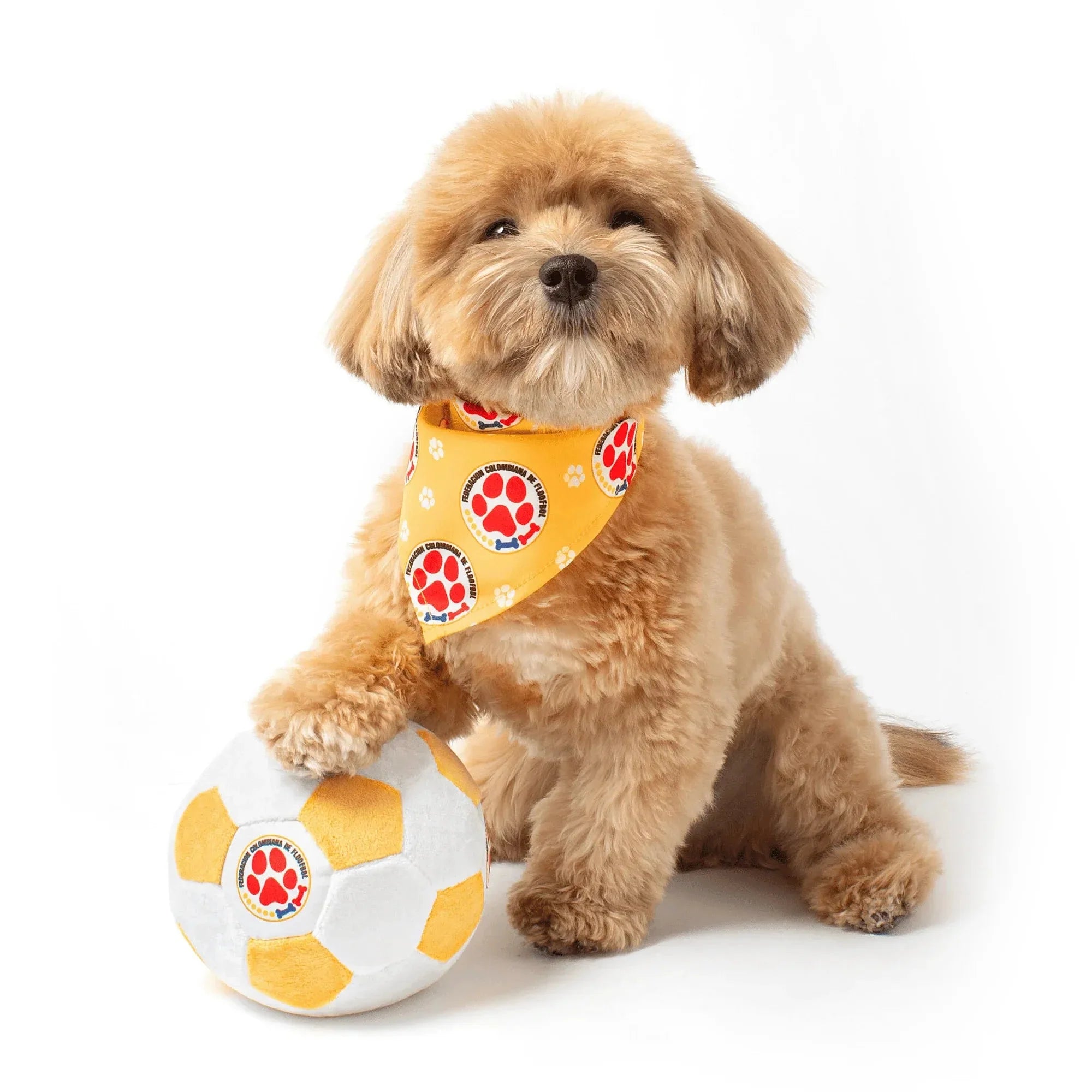 Floofball Colombia Dog Bandana 4