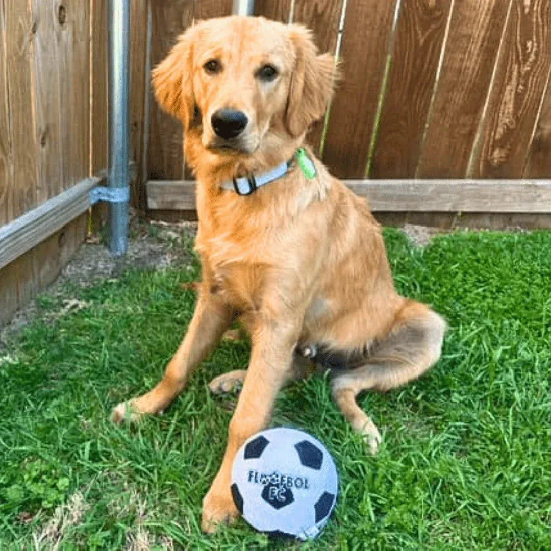 Floofball Floofbol FC Plush Soccer Ball - Dog Toy 4