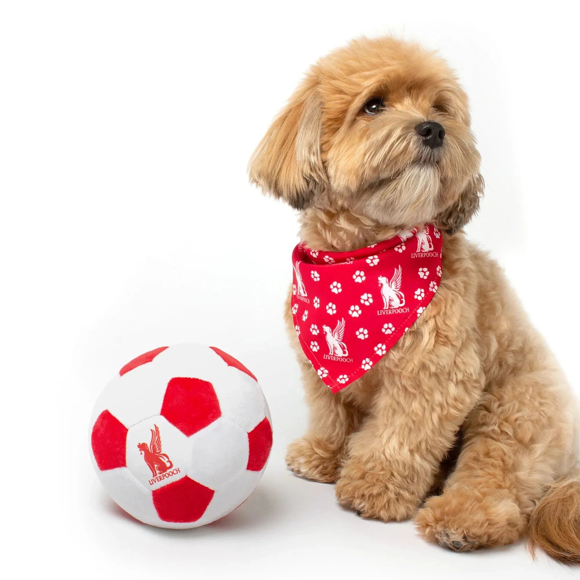 Floofball Liverpooch Dog Bandana 4