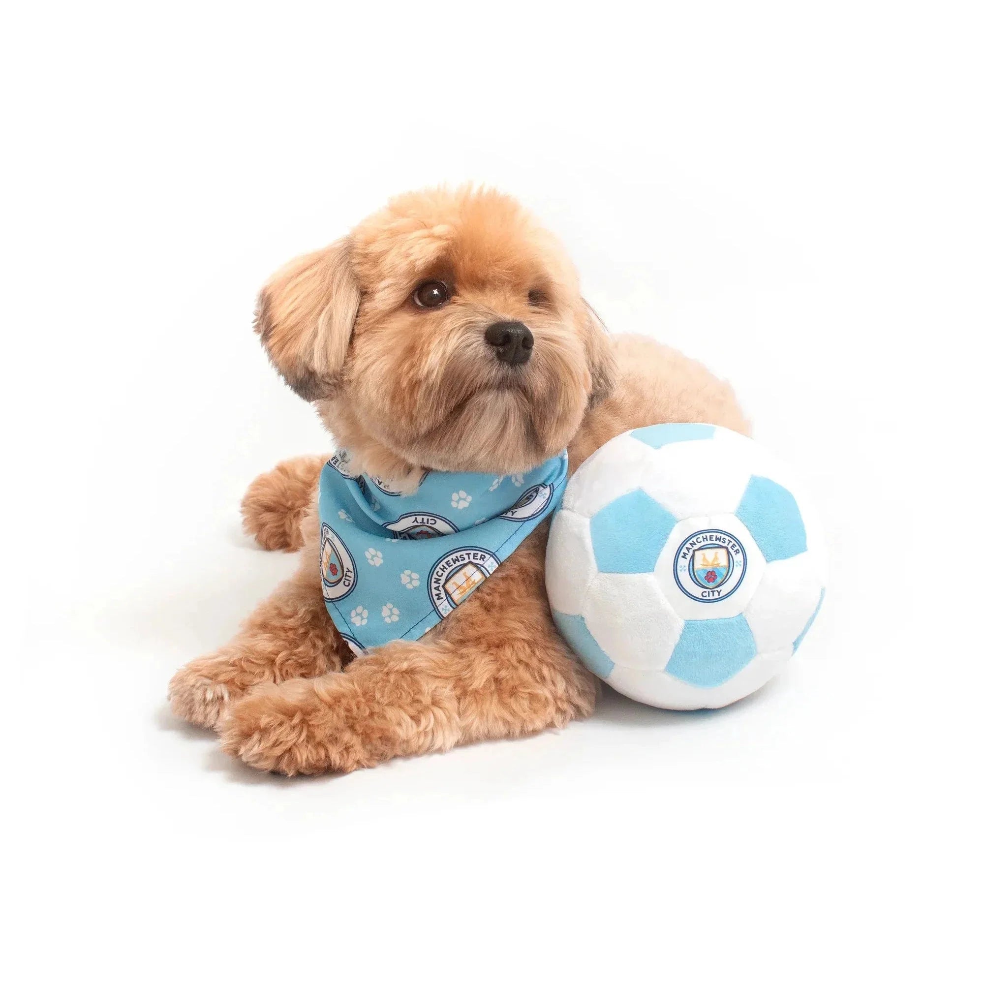 Floofball Manchewster City Dog Bandana 4