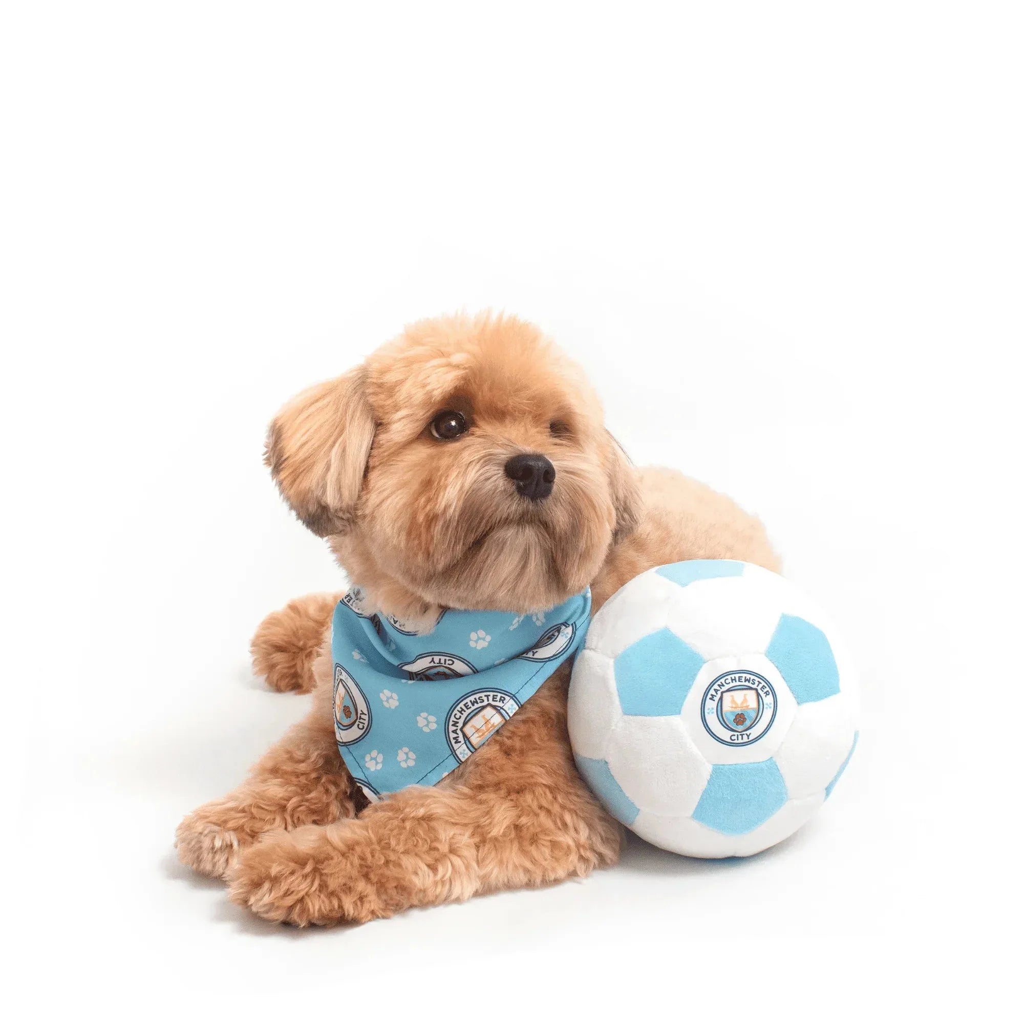 Floofball Manchewster City Plush Soccer Ball - Dog Toy 4