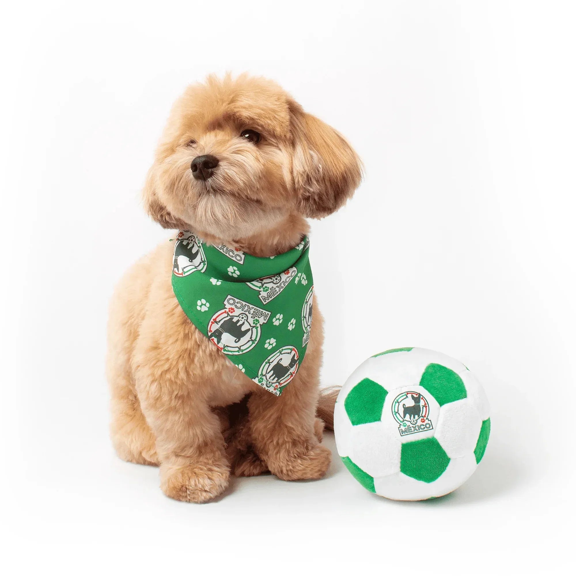 Floofball Mexico Dog Bandana 4