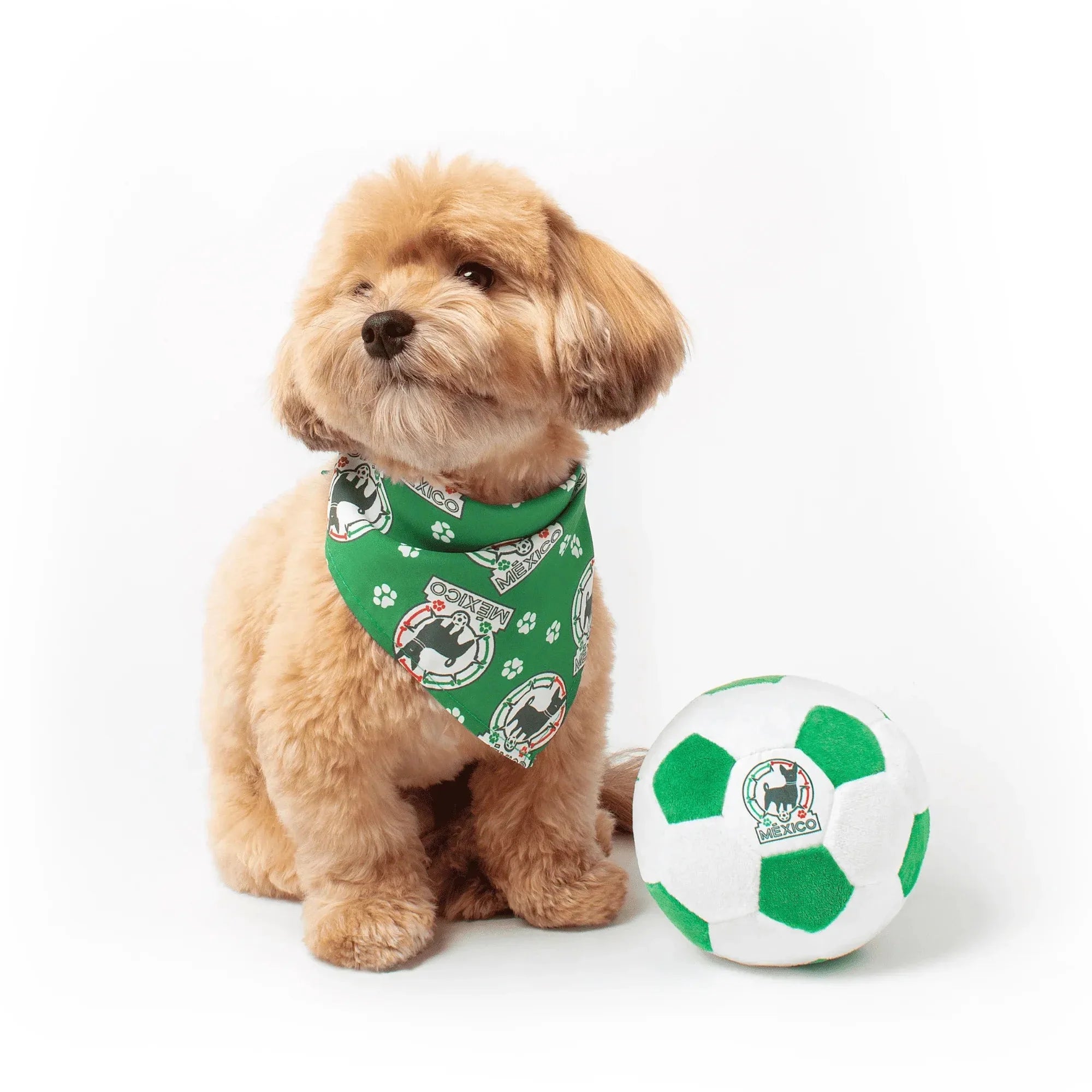Floofball Mexico Plush Soccer Ball - Dog Toy 4
