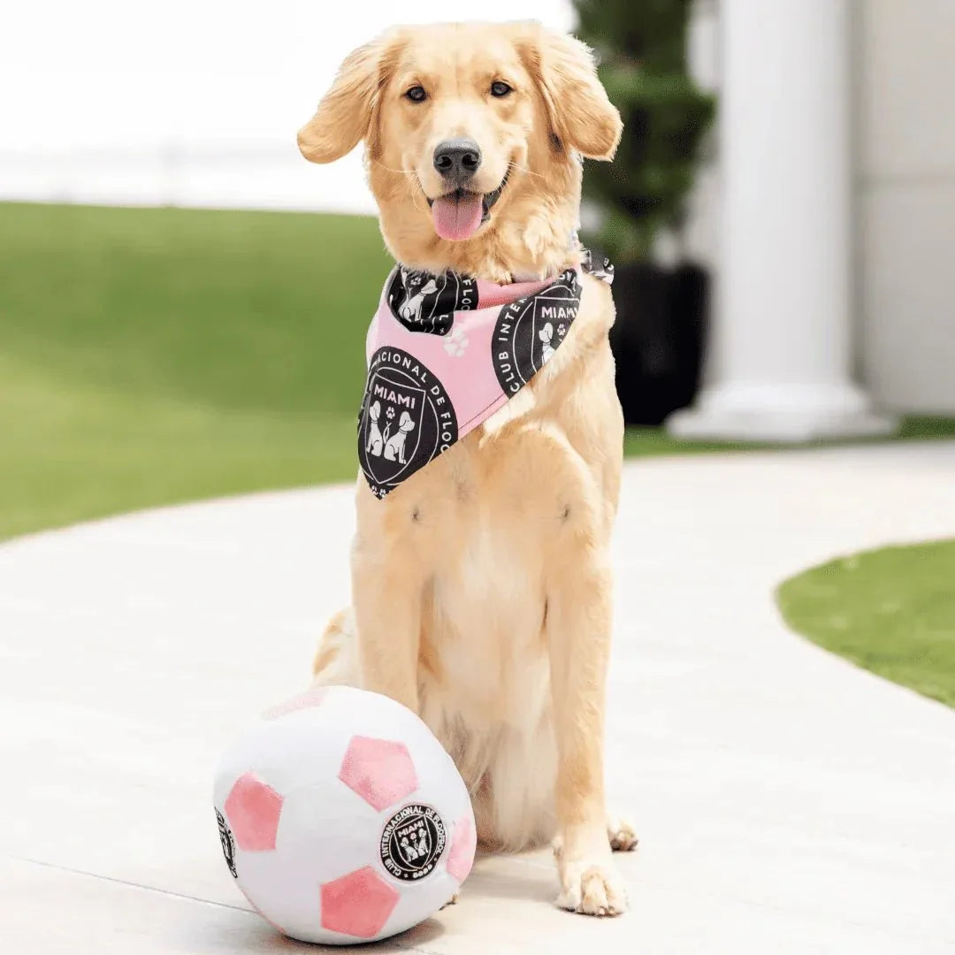 Floofball Miami Plush Large (7.5"x7.5") Soccer Ball - Dog Toy 4