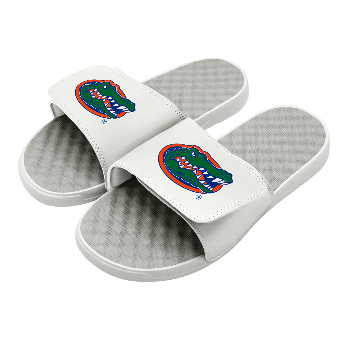 Florida Gators Primary Slides 1